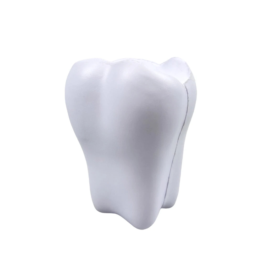Dental Stress Relief Model