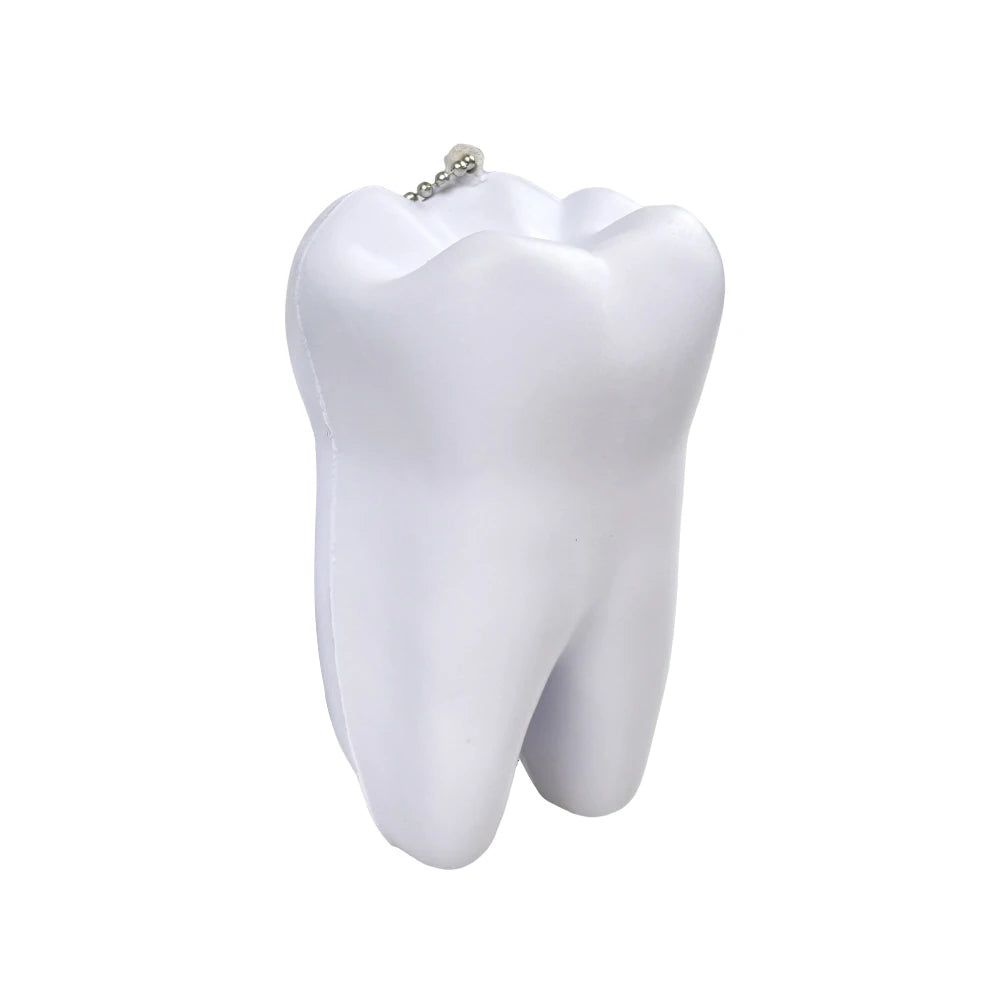 Dental Stress Relief Model